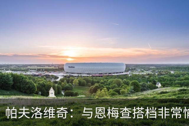 帕夫洛维奇：与恩梅查搭档非常愉快，诺伊尔对我帮助巨大