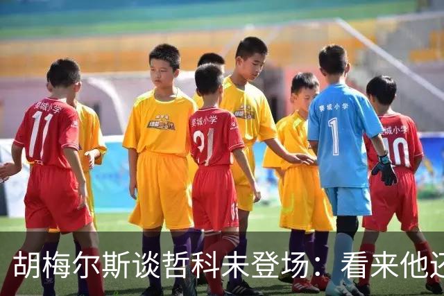 胡梅尔斯谈哲科未登场：看来他还是有伤在身，他非常适合这场比赛
